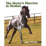 The Horse's Muscles In Motion