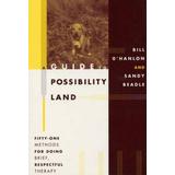 A Guide To Possibility Land: Fifty-One Methods For Doing Brief, Respectful Thearpy