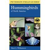 Hummingbirds Of North America