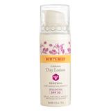 Burt's Bees Face Creams & Moisturizers - Renewal Firming SPF 30 Day Lotion