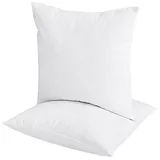 Dream On Euro Feather Pillow Insert, White, 20X20