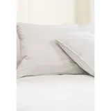 Blue Ridge Home Fashions Feather Euro Square Pillow Set, White