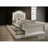 Sienna Panel Bed w/ Trundle by Etta Avenue™ Teen Wood/Upholstered/Polyester in White, Size 54.0 H x 58.0 W x 80.5 D in | Wayfair
