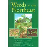 Weeds Of The Northeast
