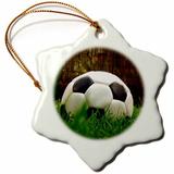 The Holiday Aisle® Soccer Ball Holiday Shaped Ornament Ceramic/Porcelain in Green, Size 3.0 H x 3.0 W x 0.0625 D in | Wayfair