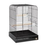 Tucker Murphy Pet™ Alice 29" Steel Flat Table Top Bird Cage w/ Perch Steel in Black, Size 29.0 H x 20.0 W x 20.0 D in | Wayfair 125BL