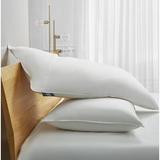 Serta 233 Thread Medium Down Blend Bed Pillow Down & Feathers/100% Cotton in White, Size 20.0 H x 36.0 W x 4.0 D in | Wayfair SE201512K