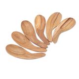 Stylish Meal,'Curved Teak Wood Scoops from Bali (Set of 6)'