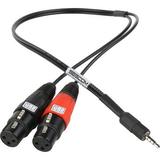 Sescom Dual Female XLR to 3.5mm TRRS Plug - Line to Mic Level Summing Cable for Mo SES-IPSUMXLR12IN