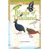 Birds Of Thailand