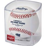 Rawlings 2020 MLB Spring Training Arizona Cactus League Logo Baseball with Case