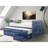 Harriet Bee Nailsworth Twin 3 Drawer Solid Wood Mate's & Captain's Bed w/ Twin Trundle Wood in Blue, Size 39.25 H x 41.75 W x 76.75 D in | Wayfair