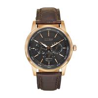 Citizen Eco-Drive Men's Leather Watch, Brown