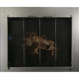 Ebern Designs Acelee Fireplace Door Plastic in Black, Size 29.0 H x 34.0 W x 2.0 D in | Wayfair 4119BD1EFB4844018F6DB80D449BBA48