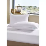 Martha Stewart Premium White Down Pillow, Standard