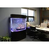 Tucker Murphy Pet™ Fagan 58 Gallons Bowfront Aquarium Tank Acrylic, Size 60.6 H x 39.5 W x 15.2 D in | Wayfair AC9D65D3B5DB408DA358E337C5402B80