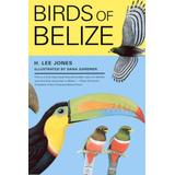 Birds Of Belize