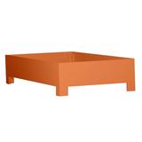 David Francis Furniture 16" Bed Frame Wood in Orange, Size 16.0 H x 42.0 W x 84.0 D in | Wayfair B4005BED-TXL-S149