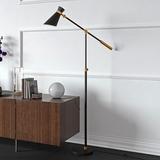 Rex Two-Tone Black and Brass Finish Floor Lamp - Hudson & Canal FL0230