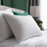 Pacific Coast Hotel Symmetry Pillow 230 Thread Count Down & Resilia Feathers Machine Wash & Dry - St