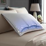 Pacific Coast Side by Side Firm Pillow 300 Thread Count Resilia Feathers Machine Wash & Dry - King