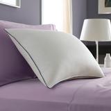 Pacific Coast Classic Firm Pillow 500 Thread Count 600 Fill Power Down Machine Wash & Dry- Queen