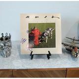 Dream on Ventures Rush Signals Signed Album Signed Album Plastic in Green/Red, Size 14.0 H x 14.0 W x 4.0 D in | Wayfair WAS7