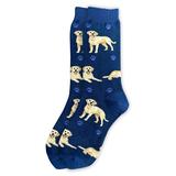 E & S Imports Socks - Blue Yellow Labrador Socks - Adult