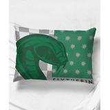 Warner Bros. Pillow Cases - Harry Potter Green & Gray Slytherin Pride Pillowcase