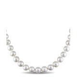 Sofia B Women's Necklaces - Freshwater Cultured Pearl & Sterling Silver Necklace