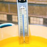 Escali Candy Paddle Dial Thermometer Stainless Steel in Gray | Wayfair AHC4