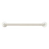 Seachrome Straight Bathroom Safety Grab Bar Metal in Gray, Size 3.0 H x 1.25 D in | Wayfair IGSS-300-QCR