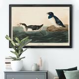 August Grove® Little Auk - Picture Frame Print on Canvas Canvas, Solid Wood in Blue, Size 18.5 H x 24.5 W x 1.5 D in | Wayfair