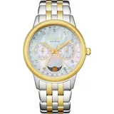 Citizen Women's Eco Calendrier Two Tone Gold Watch, Size: Medium, Multicolor
