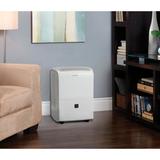 Danby Console Dehumidifier in White, Size 19.88 H x 13.19 W x 9.65 D in | Wayfair DDR030EBWDB