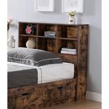 Union Rustic Felten Low Profile Storage Platform Bed Wood in Brown, Size 38.0 H x 41.0 W x 76.25 D in | Wayfair 6BD6F384809348419E10DEC847C600A6