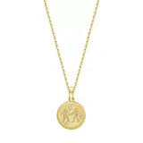 J'admire Yellow Gold Plated Sterling Silver Zodiac Star Coin Pendant Necklace, 18 inch