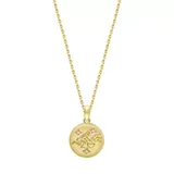 J'admire Yellow Gold Plated Sterling Silver Zodiac Star Coin Pendant Necklace, 18 Inch