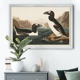 August Grove® Great Auk - Picture Frame Print on Canvas Canvas, Solid Wood in Blue/Brown, Size 30.5 H x 42.5 W x 1.5 D in | Wayfair