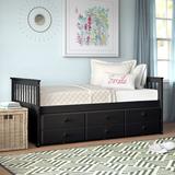 Abrams Twin 3 Drawer Solid Wood Daybed w/ Trundle by Three Posts™ Baby & Kids Wood in Black, Size 36.0 H x 42.5 W x 79.0 D in | Wayfair