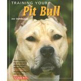 Training Your Pit Bull