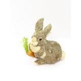 The Holiday Aisle® EASTER BUNNY W/CARROT, Size 12.0 H x 6.0 W x 5.0 D in | Wayfair 24C3E59136224B89BE5EB1D6D4CD3EB7