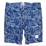 American Eagle Outfitters Shorts | Ae Tropical Boardshorts Large Nwt | Color: Blue/White | Size: L