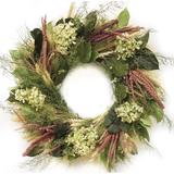 Gracie Oaks Dried Cascade Floral Wreath Floral in Green, Size 22.0 H x 22.0 W x 5.0 D in | Wayfair D2B431B075694EC6AF2A313058A87FE6