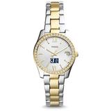 Women's Fossil Jackson State Tigers Scarlette Mini Two Tone Stainless Steel Watch