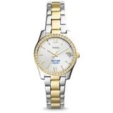 Women's Fossil Hampton Pirates Scarlette Mini Two Tone Stainless Steel Watch
