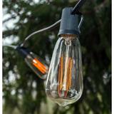 Arlmont & Co. Edison String Lights 100" Outdoor 100 - Bulb Standard String Light in Black, Size 100.0 W in | Wayfair