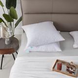 Martha Stewart 20X20" Decorative Feather Pillow Insert (2PK) - Medium Firm in White, Size 20.0 H x 20.0 W x 2.0 D in | Wayfair MS200906K