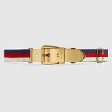 Gucci Accessories | Gucci Sylvie Web Belt With Square Buckle | Color: Blue/Red | Size: 85
