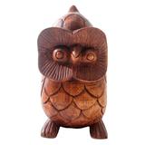 To See You in Brown,'Hand Carved Suar Wood Owl Eyeglass Holder'